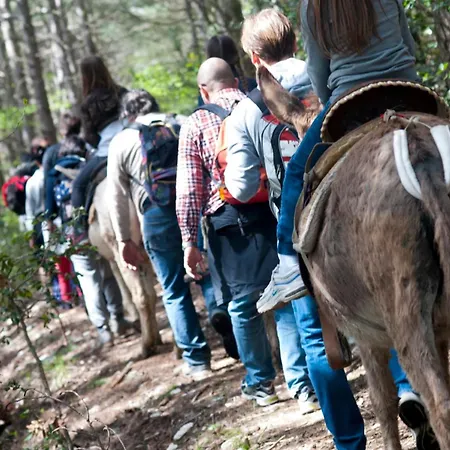 Il Giardino Pontassieve