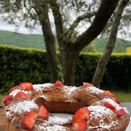 Il Giardino * Pontassieve
