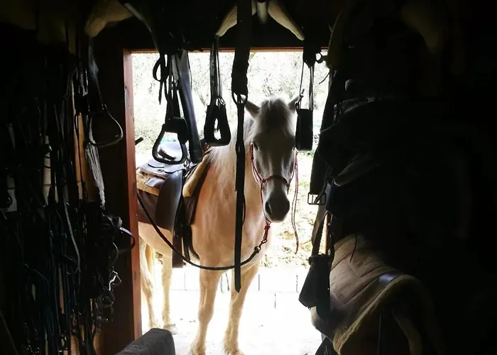 Apartmanhotel Il Giardino Pontassieve