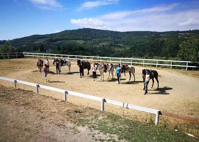 Il Giardino Apartmanhotel