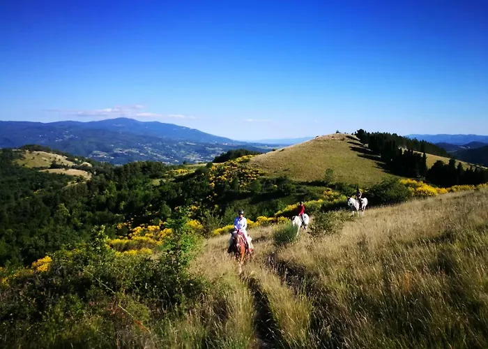 Il Giardino Apartmanhotel Pontassieve