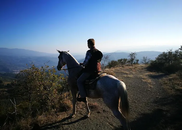 Apartmanhotel Il Giardino Pontassieve