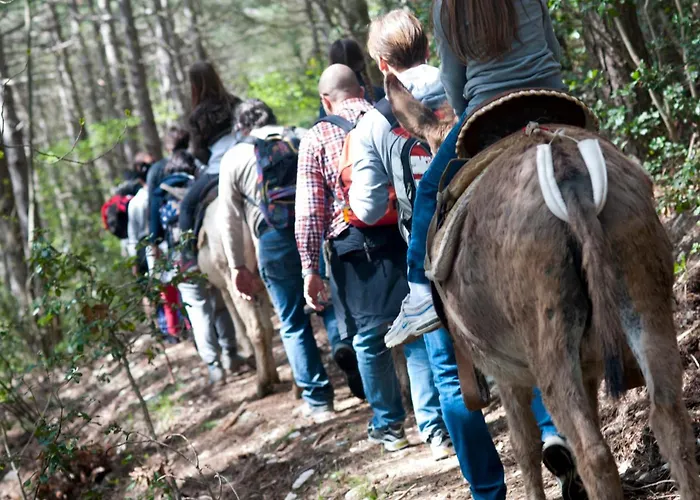 Il Giardino Pontassieve